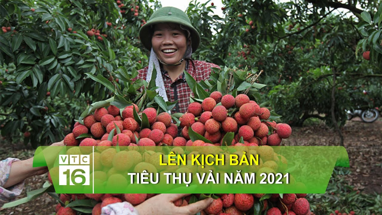 Từ 2026, cả nước tuyển sinh lớp 1, lớp 6 theo nguyên tắc 'nhà gần trường'