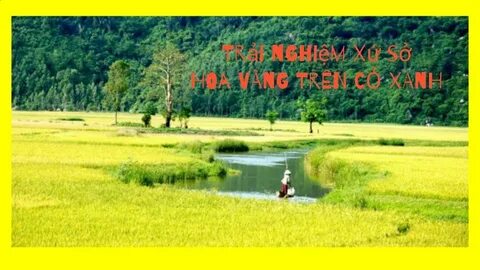 Chính sách đại lý của Hotspot Matrix: Cơ hội hợp tác bền vững trong ngành video ngắn_Khóa học kỹ năng marketing