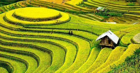 Freelancer Và Cơ Hội Kiếm Tiền Từ Nền Tảng Hotspot Matrix