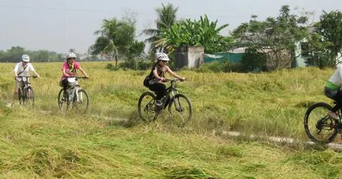 Vì sao xào thịt bò để lửa nhỏ dễ bị dai?